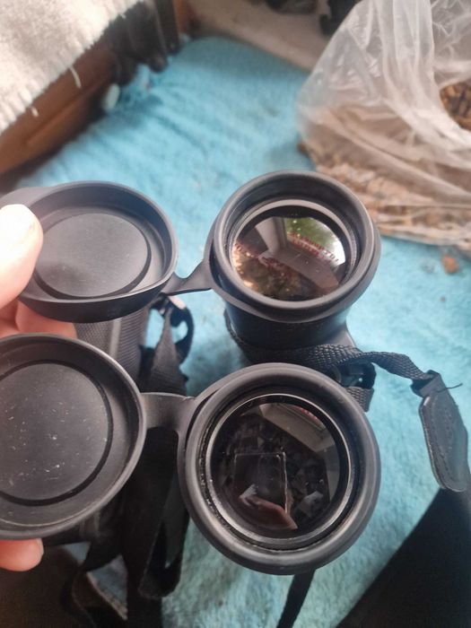 Бінокль XD Precision Standard 10х42 BAK7 fully coated