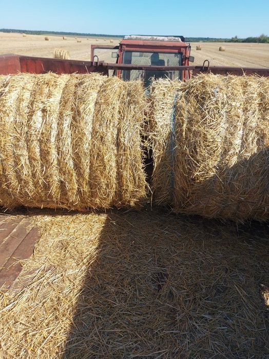Тюки соломи пшеничної