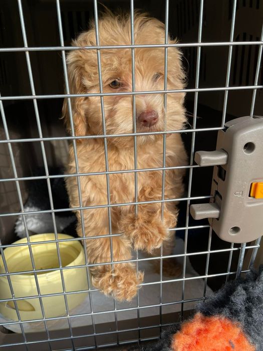 Перевозка  за границу. Европа. Скандинавия