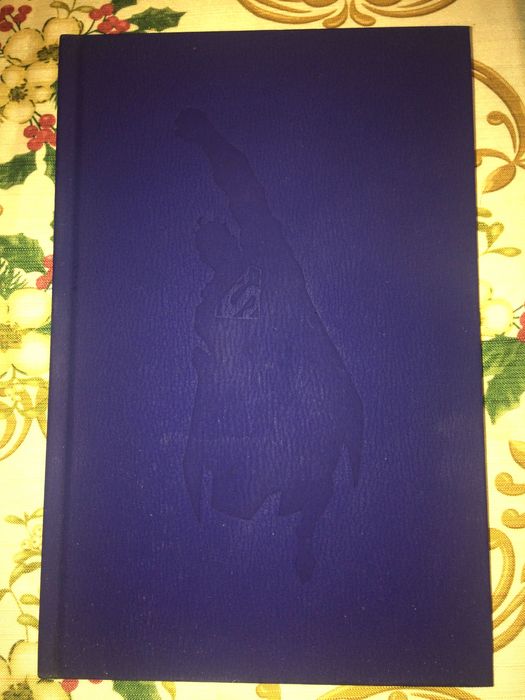 Superman For Tomorrow