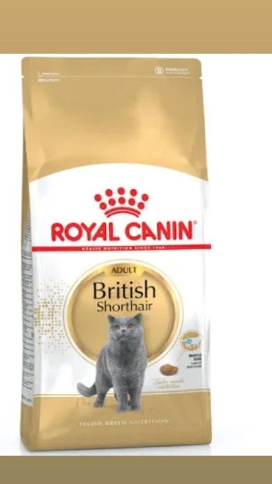 Royal Canin 10+3кг  British Shorthair Adult - сухий корм для котів пор