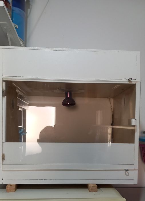 2 Gaiolas usadas e maternidade