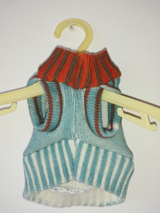 Roupa XXXS para animais