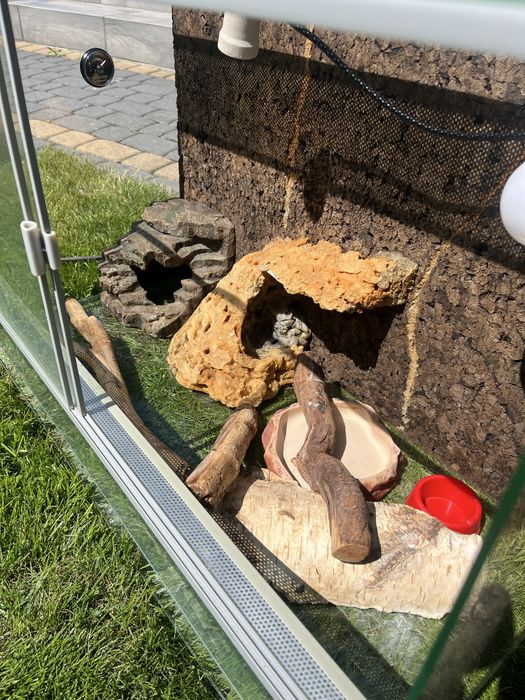 Terrarium szklane