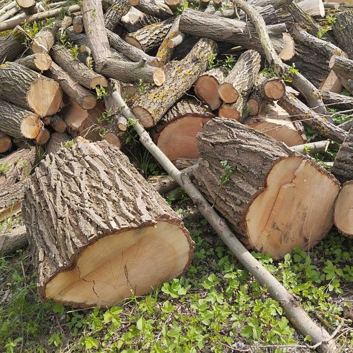 Drzewo opałowe,wierzba sprzedam