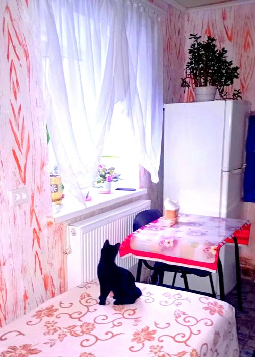 Будинок подобово(посуточно) погодинно оренда Осіпенковський