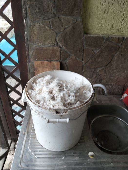 Продам Гусиный пух перо!