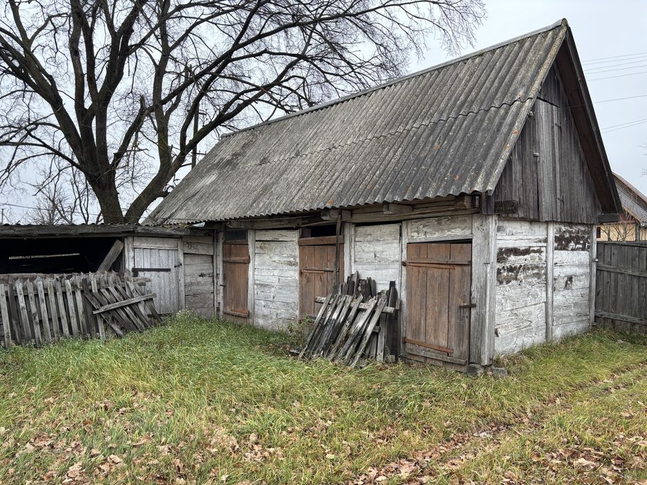 Продається будинок з землею село Ніжиловичі