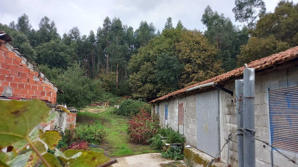 Terreno com 2 aviários