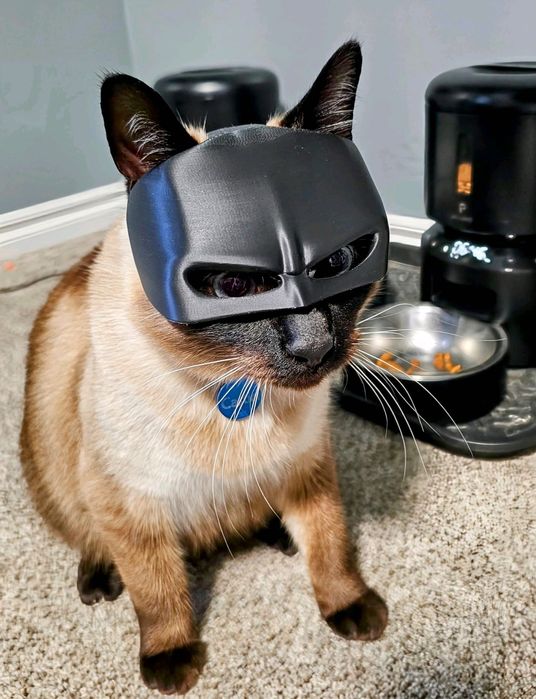 ‼️ Маска Бетмен та інші