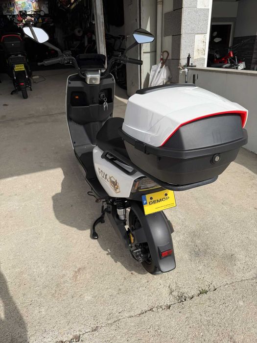 Mota Eletrica Fox Goose