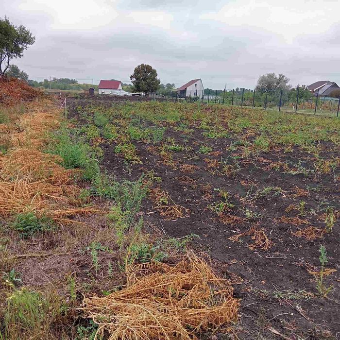 Продаж /ОБМІН Земельній ділянки під будівництво с.Веселинівка
