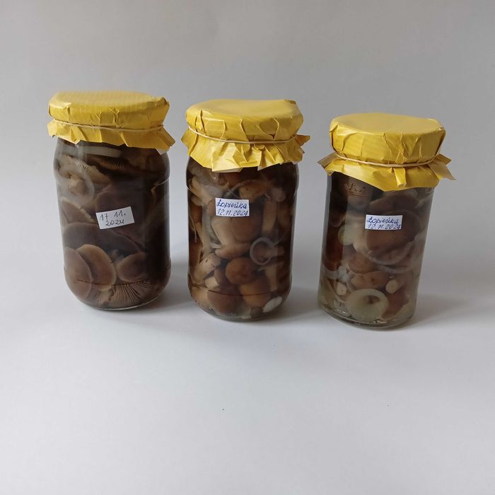 Łopieńki w zalewie octowej