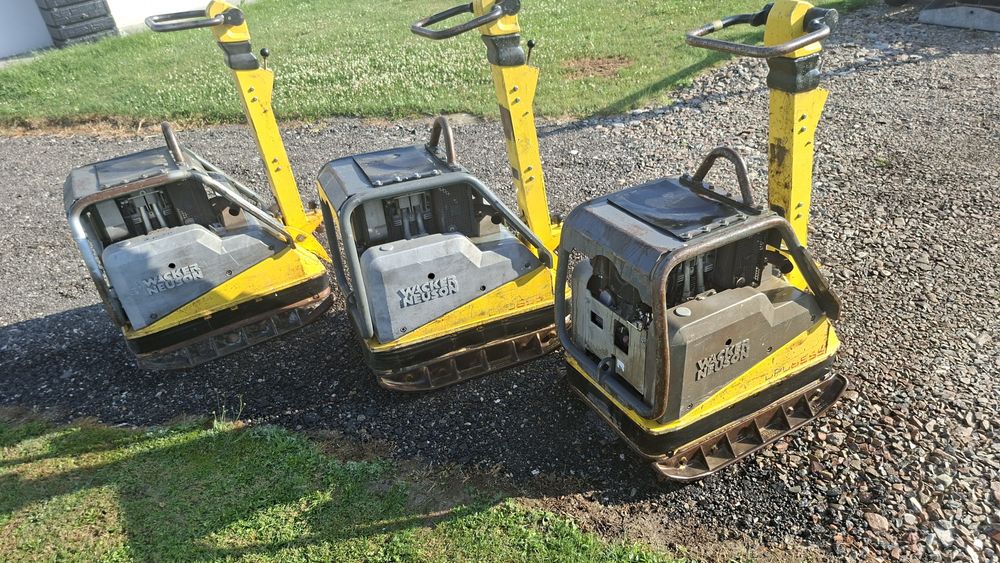Zagęszczarka Wacker DPU 6555 - po serwisie  500kg