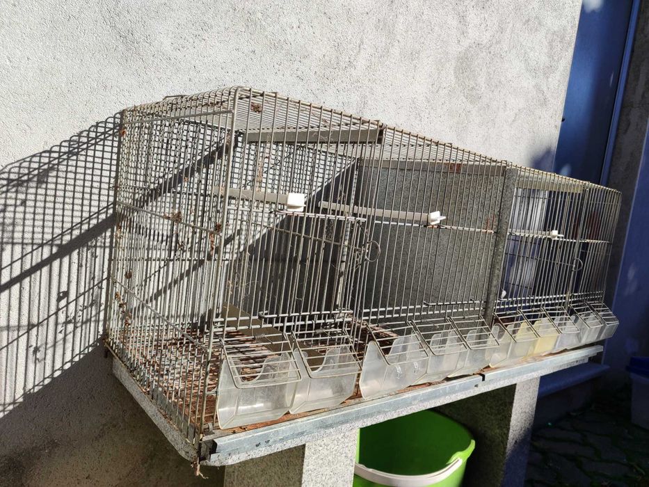 Gaiolas criação aves