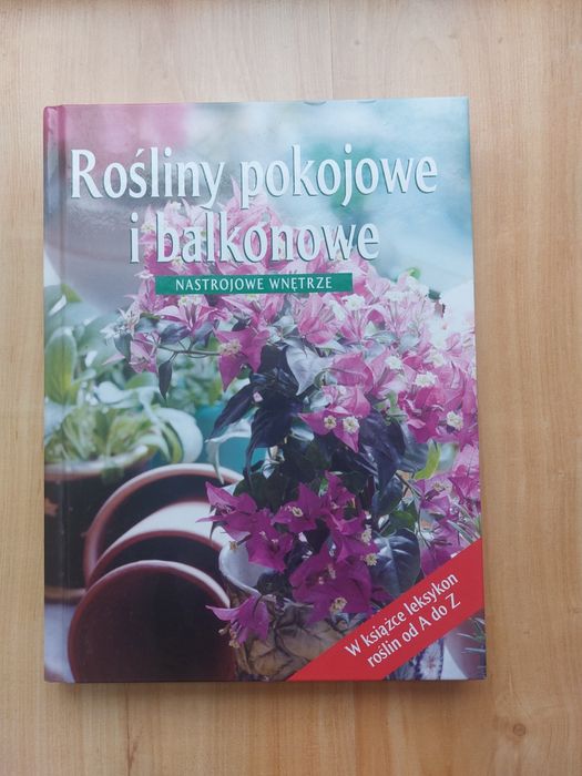 Rośliny pokojowe i balkonowe. Nastrojowe wnętrze
