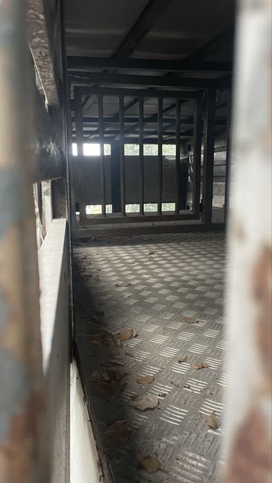 Carroçaria transporte de animais vivos