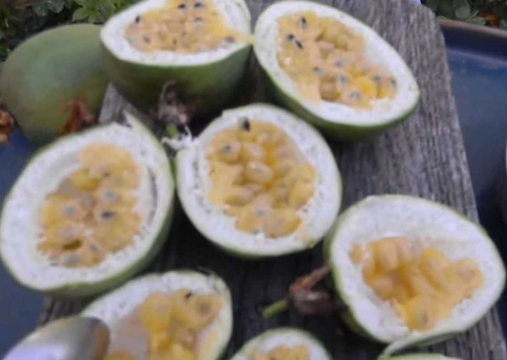Маракуя северная, Самоплодная