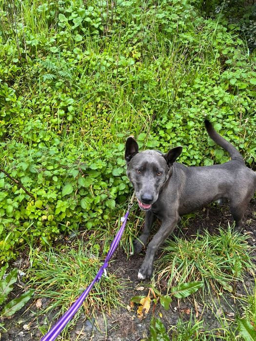 Lindo demais para ainda nao ter família das boas!