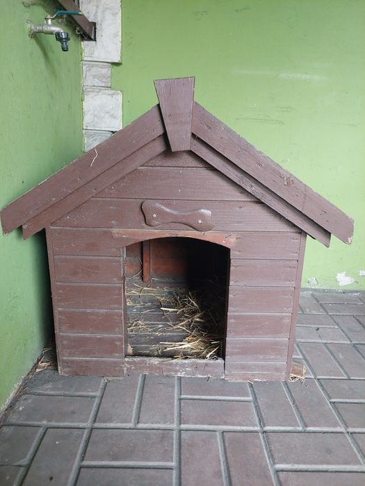 Buda dla psa 72cmdł.