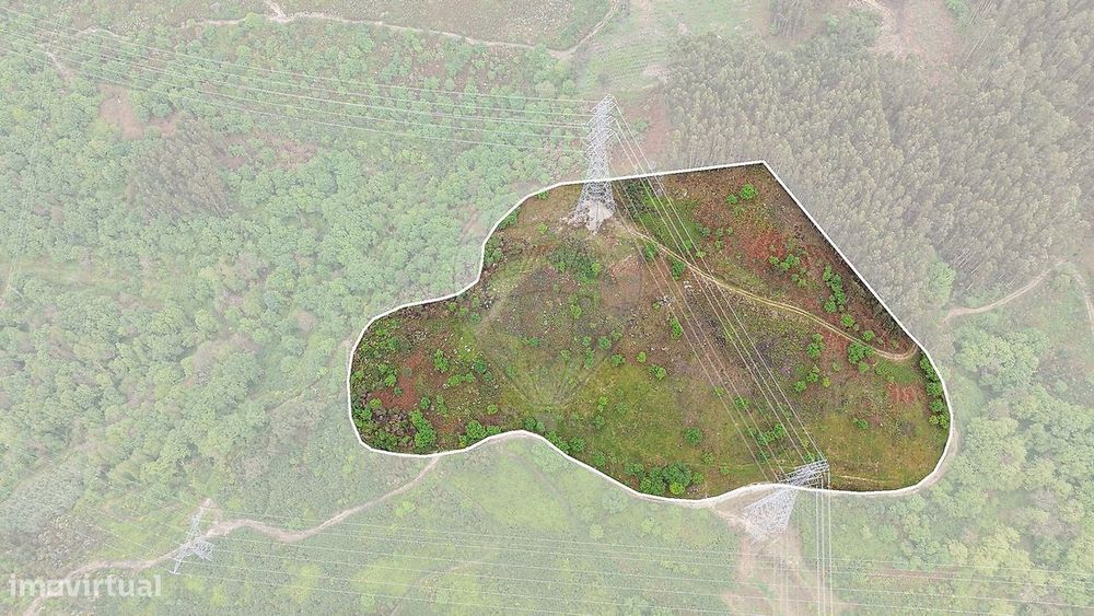Plot for Sale