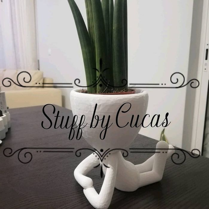 Vaso para suculentas