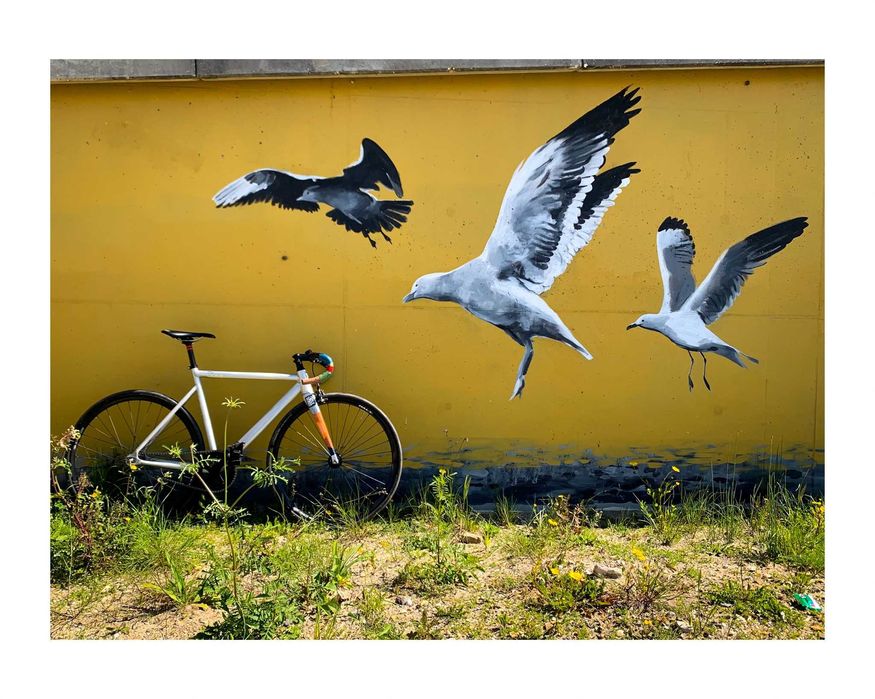 8bar KRZBERG V7 fixed bike [singlespeed]