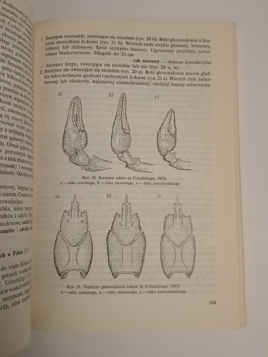 Ćwiczenia z zoologii dla zootechników Melosik Prabucki Rajski