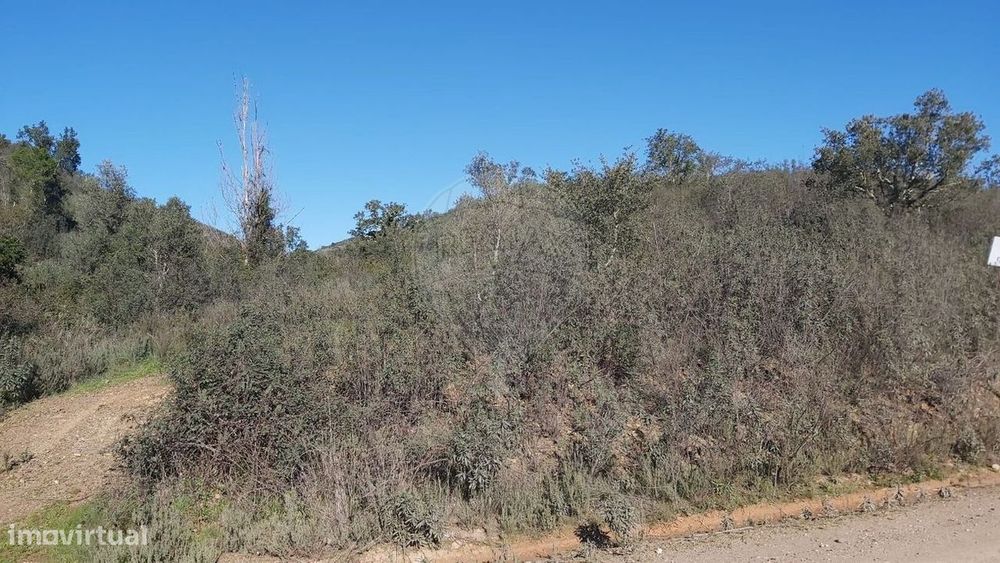 Terreno  para venda — São Bartolomeu de Messines, Faro