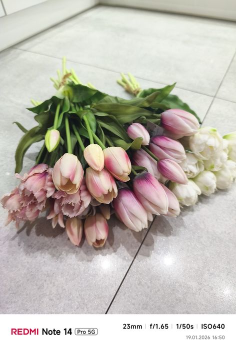 Tulipany silikonowe peczek 5 szt