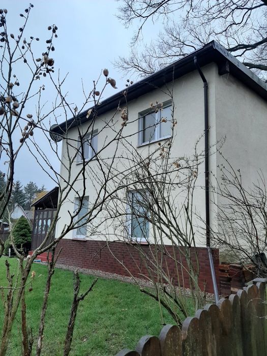 Całoroczny dom przy lesie