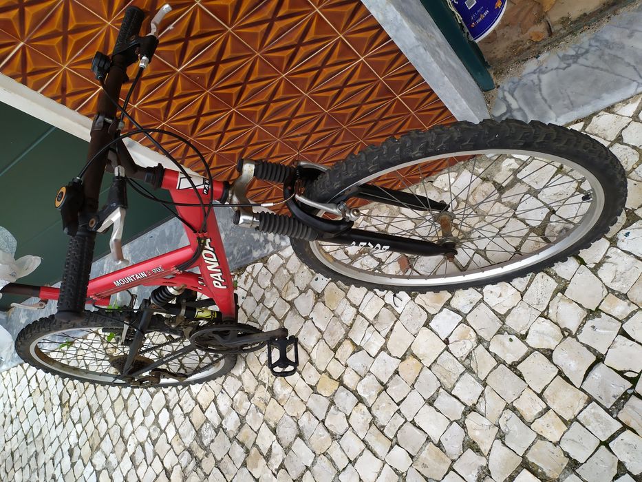 Bicicleta nova da marca panda de 21