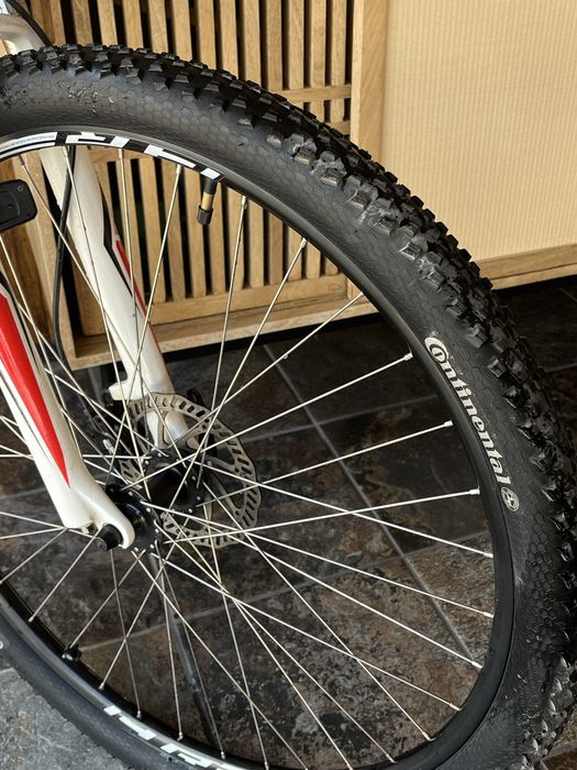 Specialized Roda 29