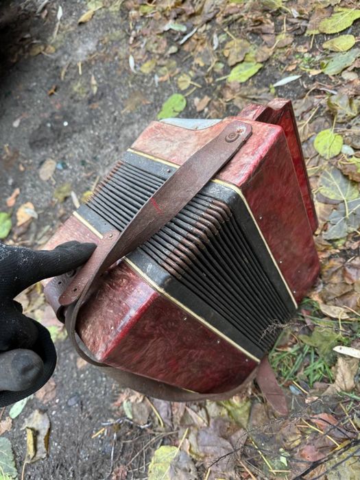 гармонь гармошка баян