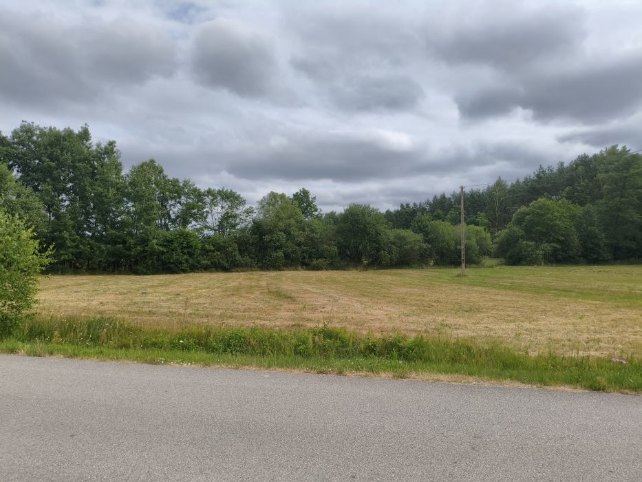Na sprzedaż dwie sąsiadujące działki nr 368 i 170 o łącznej powierzchni 3252 m², położone w miejscowości Restarzew Środkowy (gmina Widawa)
