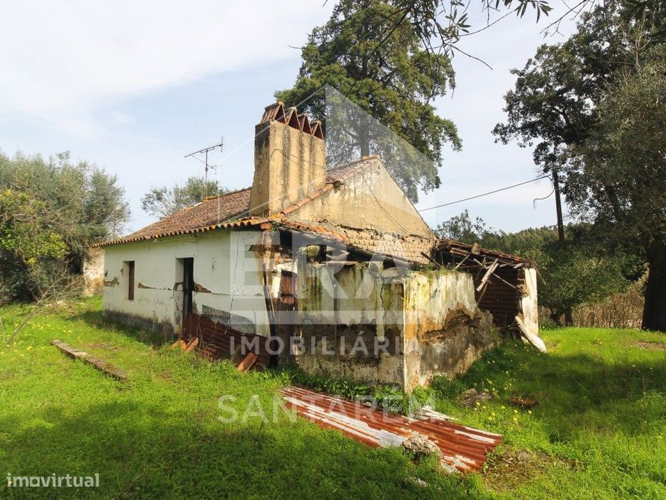Terreno com cerca de 1 Hectare