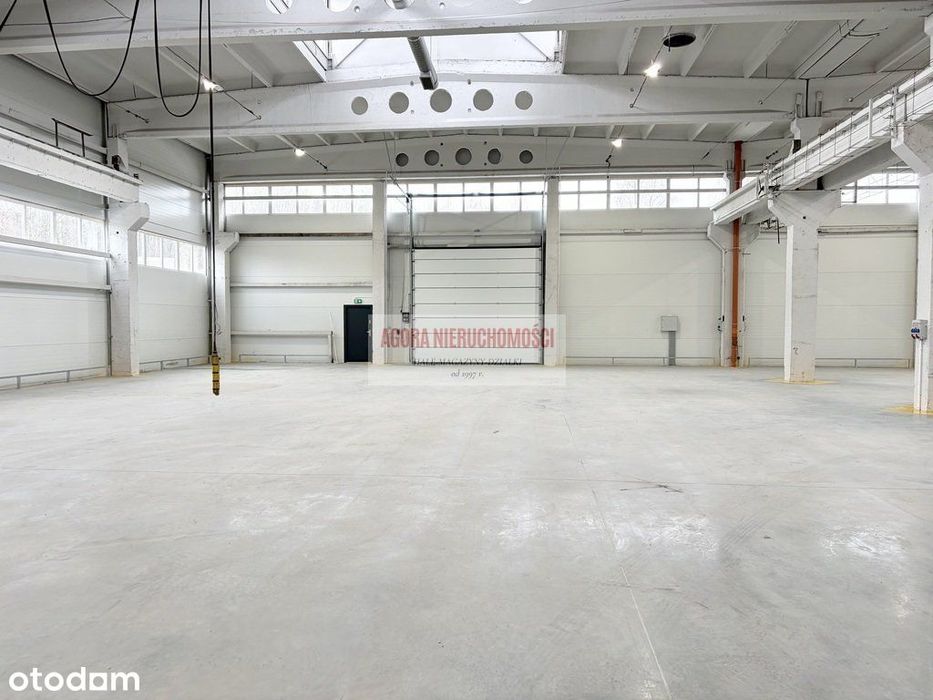 Hala produkcyjna od 1000 m2 Olkusz