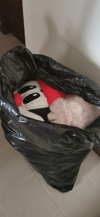 Vendo vários pelos