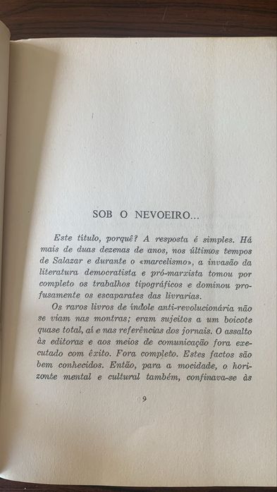 Sob o nevoeiro (ideias e figuras)