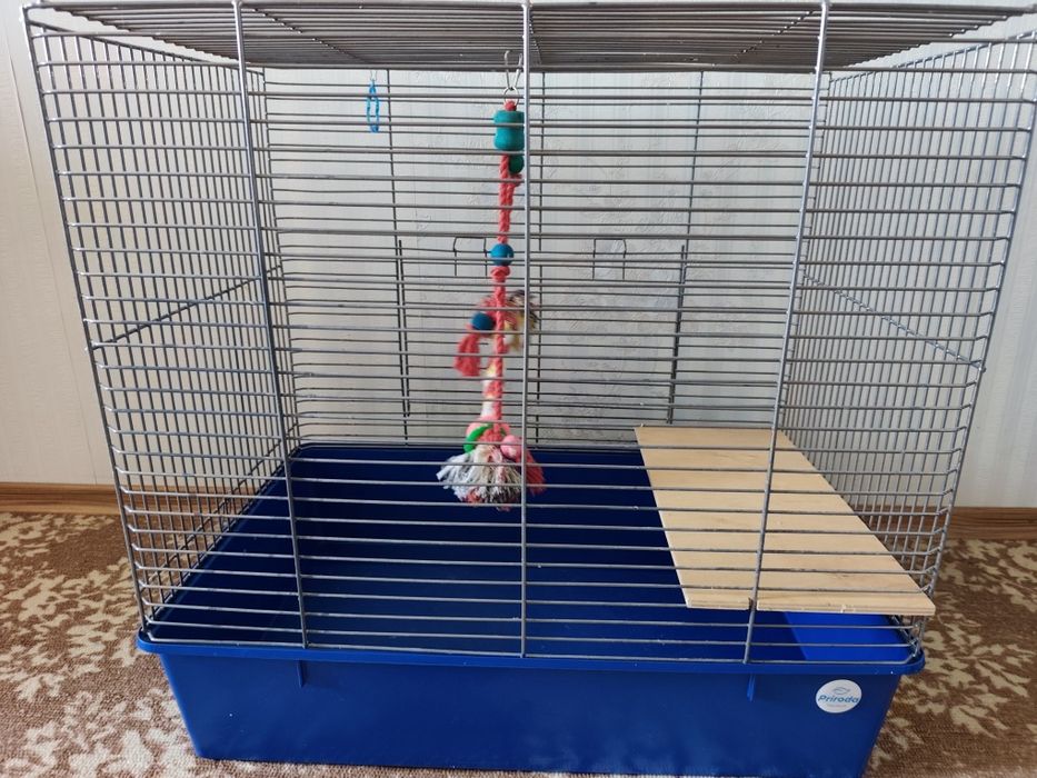 Клетка для грызунов и птиц (65×65 см)