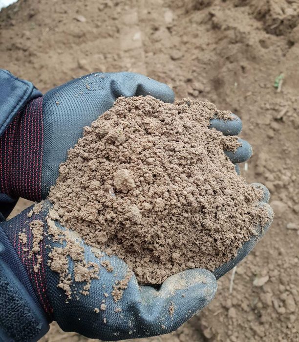 Ziemia Humus pod trawnik, krzewy, warzywa,do ogrodu,transport