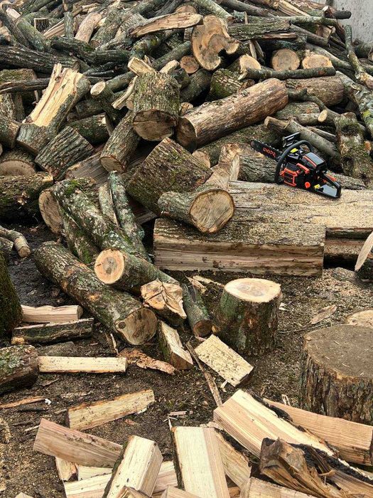 Дрова твердих порід