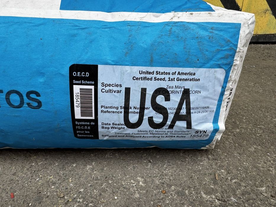 Насіння кукурудзи Сінгента Сі Чорінтос|Syngenta SY CHORINTOS