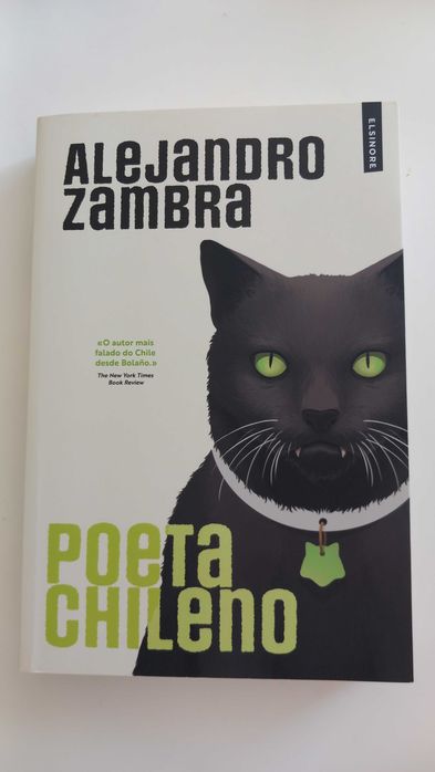 LIVRO NOVO: "Poeta Chileno"