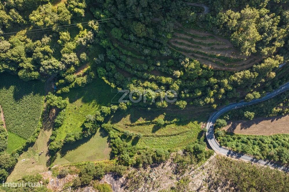 Terreno Rústico com Nascente em Seramil