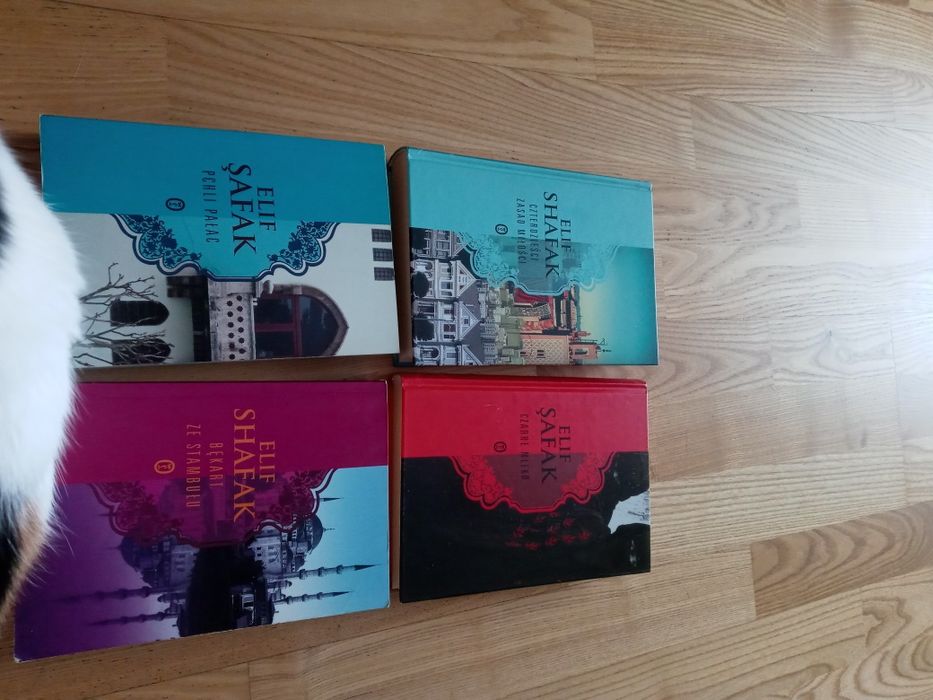 Elif Shafak Bękart Pchli Czarne Czterdzieści