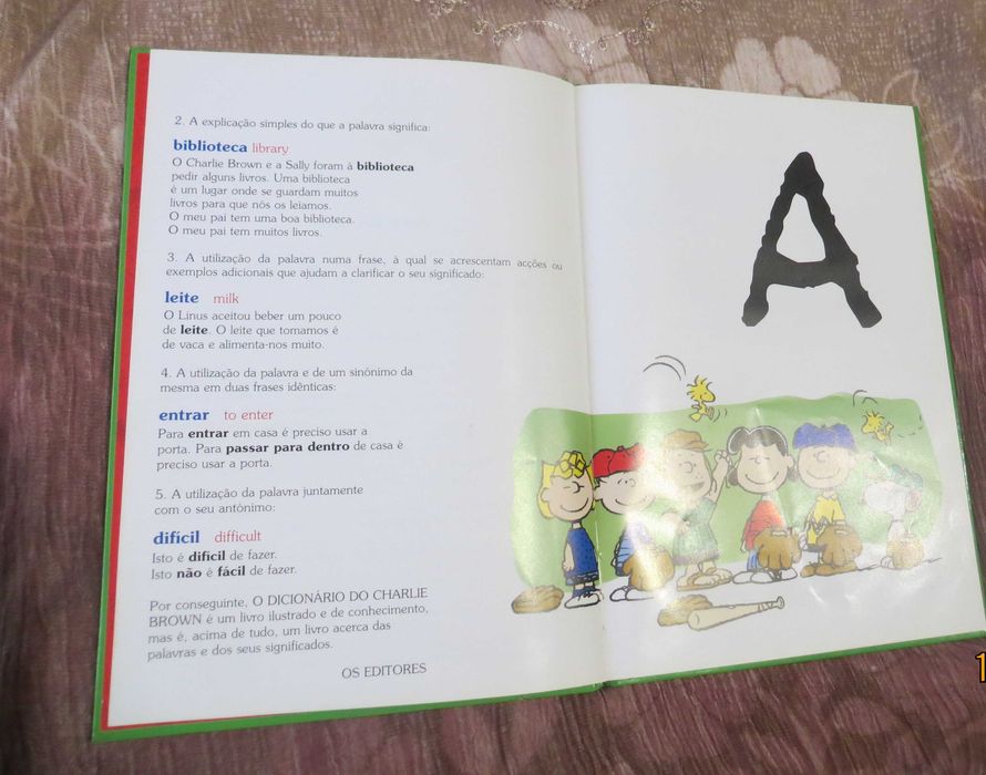 Dicionário Ilustrado de Charlie Brown - Para começar a aprender Inglês