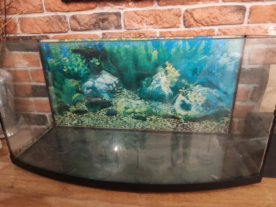 Akwarium 90litrow