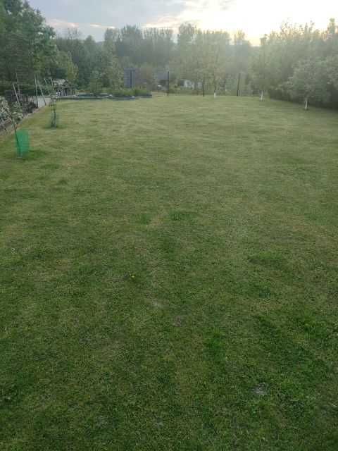 Duzy Dom 230 m2 w stylu rustykalnym z duza dzialka (54ar) i ogrodem