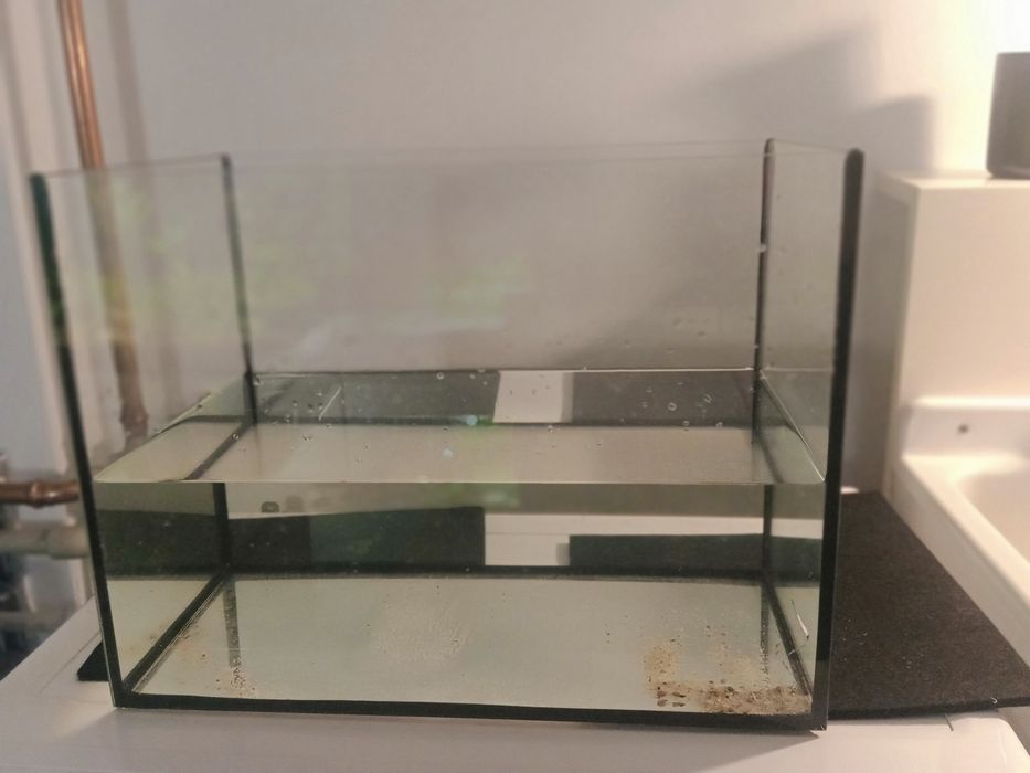 Akwarium terrarium, dla chomika